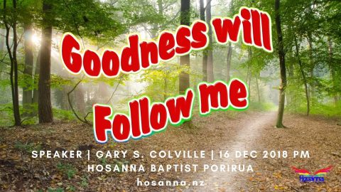 Goodness Will Follow Me